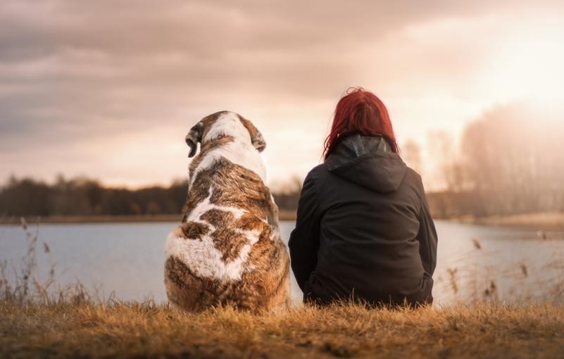 Le ressenti en éducation canine