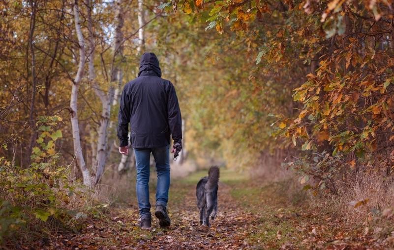 Notre rapport à l'animal